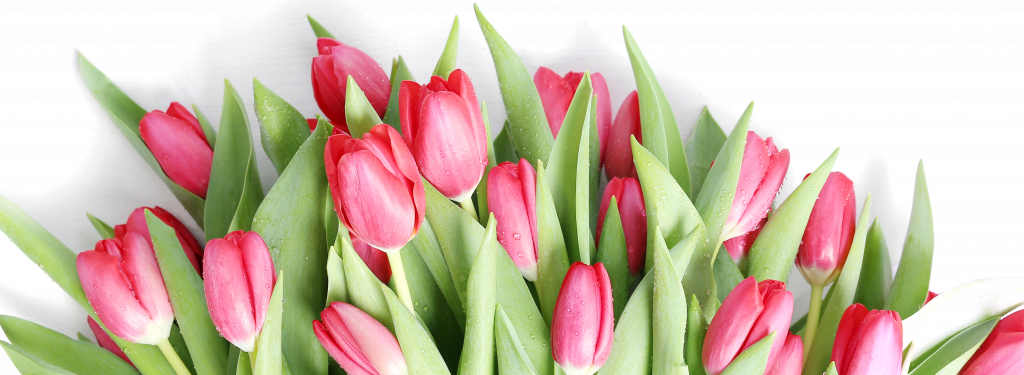 beautiful-bouquet-of-tulips.png